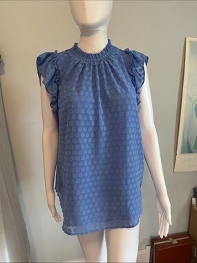 Blue Ruffle Sleeve Swiss Dot Blouse